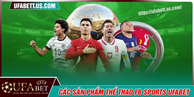 Các sản phẩm cá cược nổi bật tại FB Sports